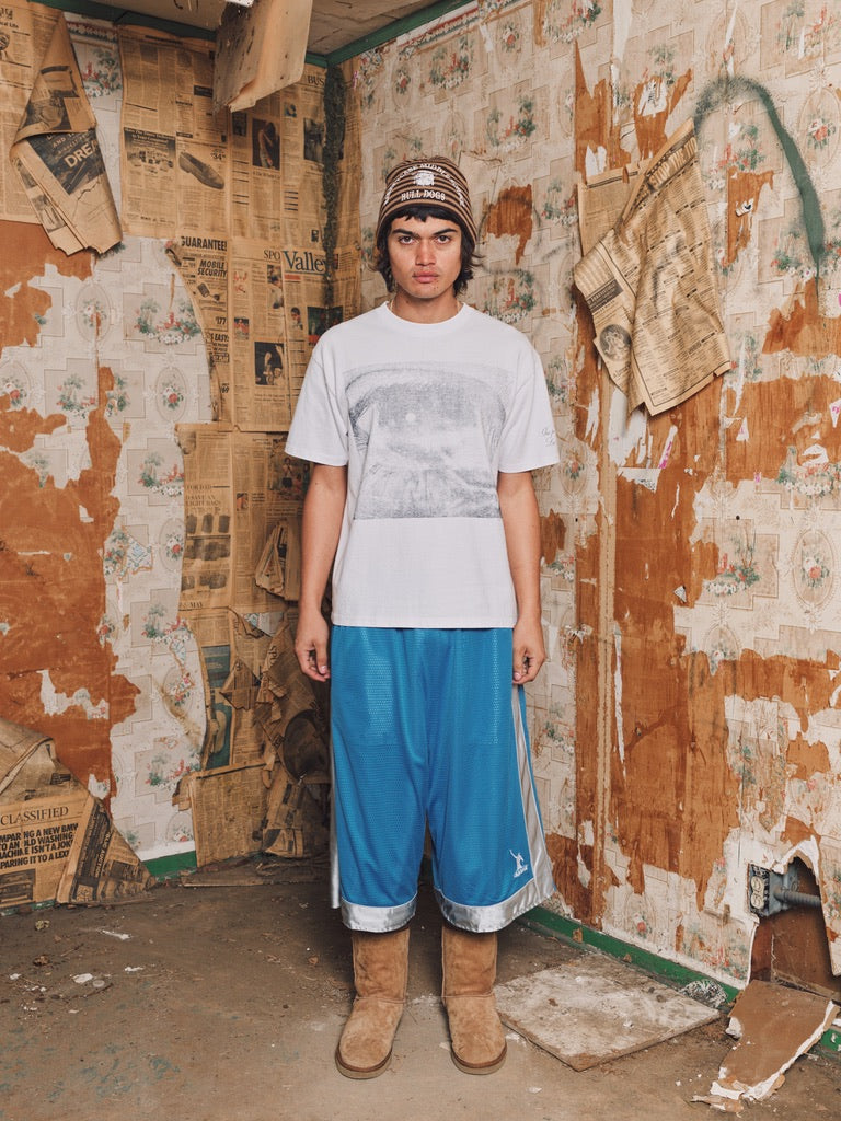 BULLDOG, skully (striped)