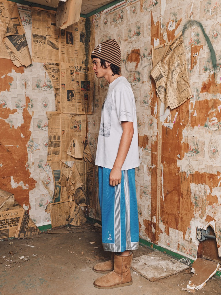 BULLDOG, skully (striped)