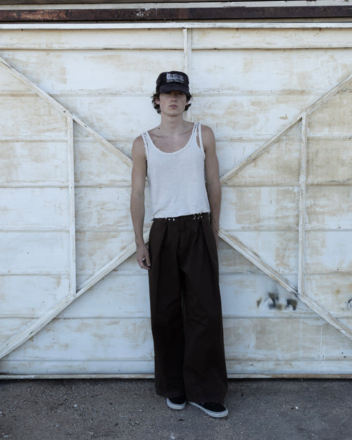 CALDWELL, thrashed canvas pants (brown)