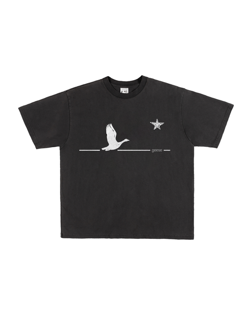 BANNER v2, lightweight t-shirt