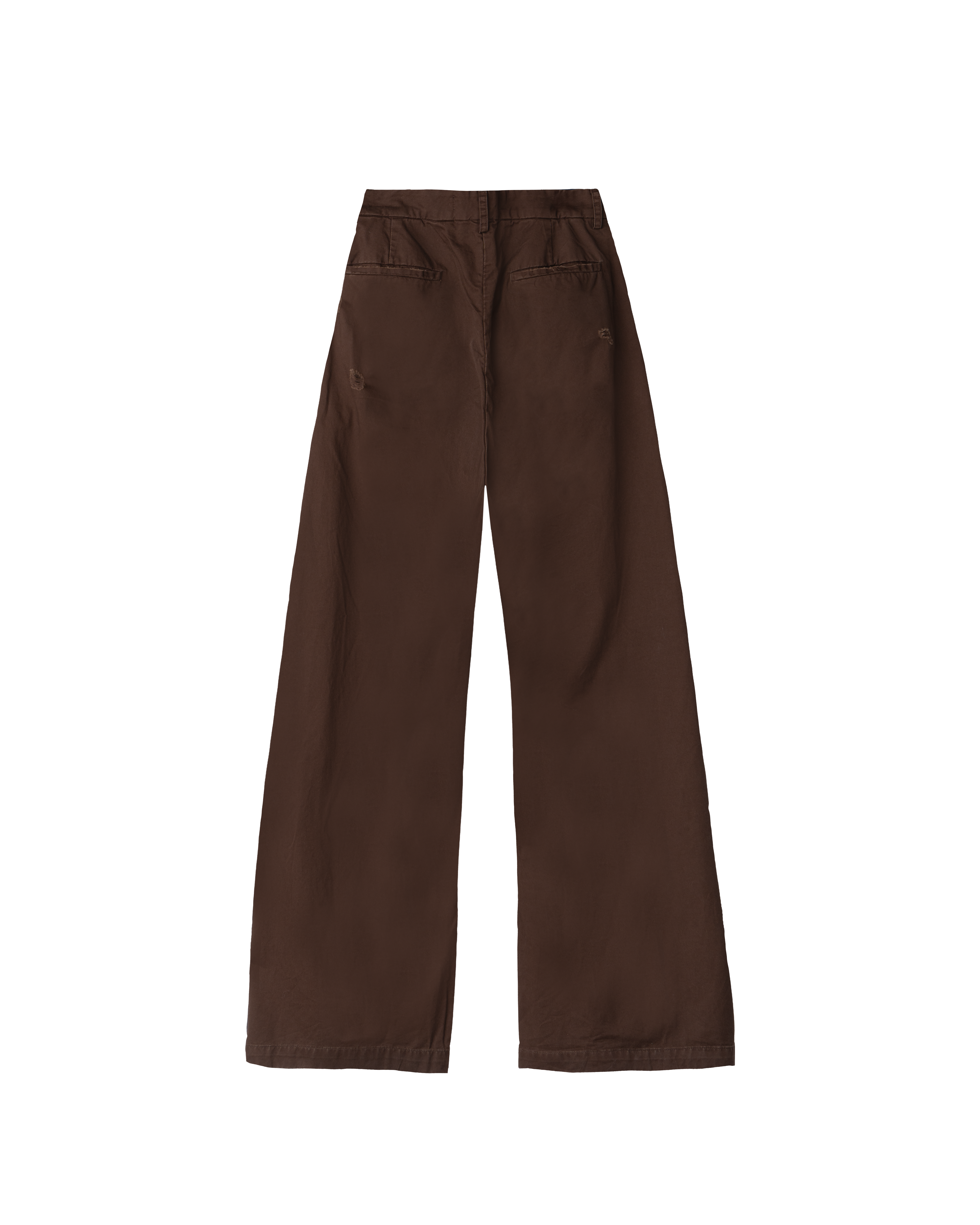 CALDWELL, thrashed canvas pants (brown)