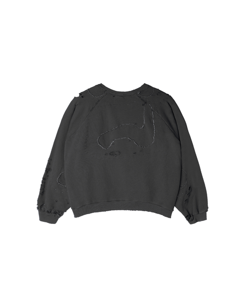 BADGERS, repaired crewneck