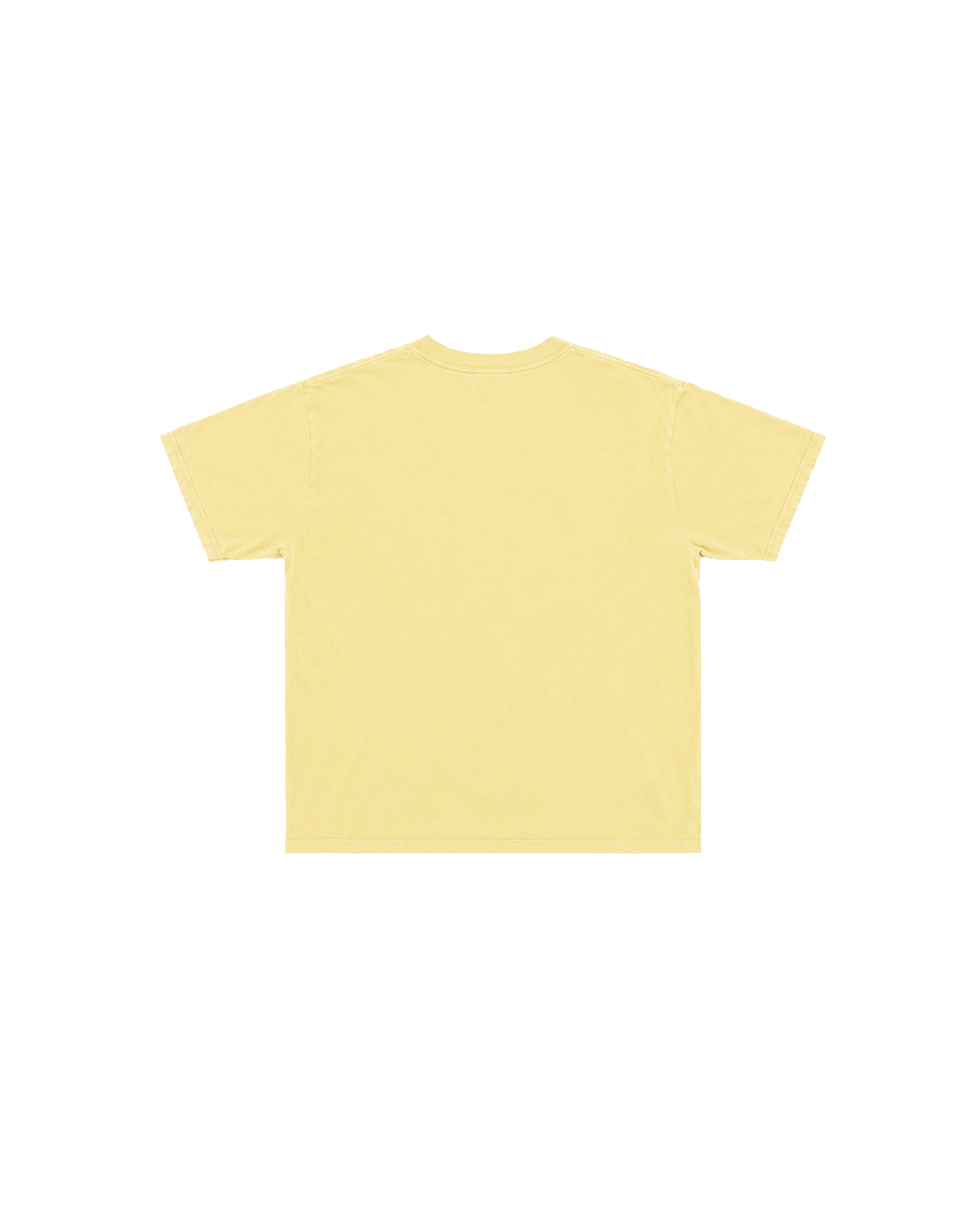 LIBER NOVUS, lightweight t-shirt